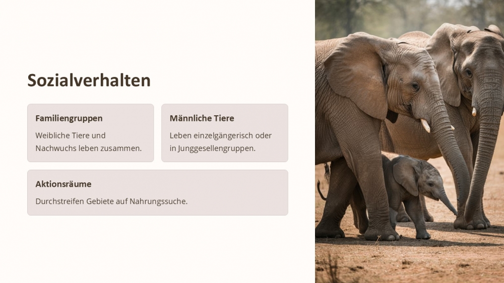 Bild 1 von PowerPoint Präsentation: Welt der Elefanten–Lehrmaterial für Ausbilder und Schüler (Download) .pptx