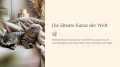 Bild 7 von PowerPoint Präsentation: Welt der Hauskatze – Lehrmaterial für Ausbilder & Schüler (Download) .pptx