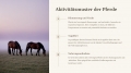Bild 3 von PowerPoint Präsentation: Welt der Pferde – Lehrmaterial für Ausbilder und Schüler (Download) .pptx