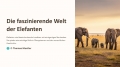 Bild 2 von PowerPoint Präsentation: Welt der Elefanten–Lehrmaterial für Ausbilder und Schüler (Download) .pptx