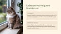 Bild 6 von PowerPoint Präsentation: Welt der Hauskatze – Lehrmaterial für Ausbilder & Schüler (Download) .pptx