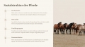 Bild 8 von PowerPoint Präsentation: Welt der Pferde – Lehrmaterial für Ausbilder und Schüler (Download) .pptx