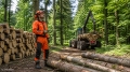 Bild 3 von LMS Schulungsprojekt zum Forstwirt (m/w/d)