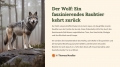 Bild 4 von PowerPoint Präsentation: Welt der Wölfe – Lehrmaterial für Ausbilder und Schüler (Download) .pptx