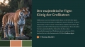 Bild 3 von PowerPoint Präsentation: Welt der Tiger – Lehrmaterial für Ausbilder und Schüler (Download) .pptx