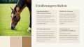 Bild 7 von PowerPoint Präsentation: Welt der Pferde – Lehrmaterial für Ausbilder und Schüler (Download) .pptx