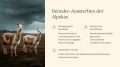 Bild 4 von PowerPoint-Präsentation: Welt der Alpakas– Lehrmaterial für Ausbilder und Schüler (Download) .pptx
