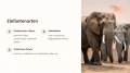 Bild 3 von PowerPoint Präsentation: Welt der Elefanten–Lehrmaterial für Ausbilder und Schüler (Download) .pptx