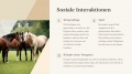Bild 4 von PowerPoint Präsentation: Welt der Pferde – Lehrmaterial für Ausbilder und Schüler (Download) .pptx
