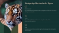 Bild 4 von PowerPoint Präsentation: Welt der Tiger – Lehrmaterial für Ausbilder und Schüler (Download) .pptx