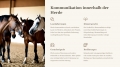 Bild 11 von PowerPoint Präsentation: Welt der Pferde – Lehrmaterial für Ausbilder und Schüler (Download) .pptx
