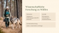 Bild 7 von PowerPoint Präsentation: Welt der Wölfe – Lehrmaterial für Ausbilder und Schüler (Download) .pptx