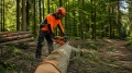 Bild 2 von LMS Schulungsprojekt zum Forstwirt (m/w/d)