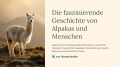 Bild 2 von PowerPoint-Präsentation: Welt der Alpakas– Lehrmaterial für Ausbilder und Schüler (Download) .pptx