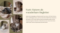 Bild 10 von PowerPoint Präsentation: Welt der Hauskatze – Lehrmaterial für Ausbilder & Schüler (Download) .pptx